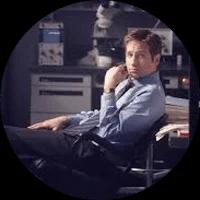 Mulder Avatar
