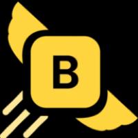 BricksFly logo