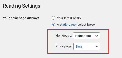 Set Website Home and blog page